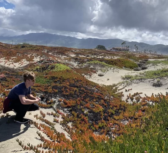 a kid kneeling at dunes