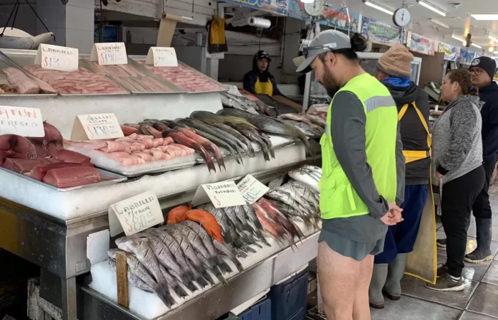 looking at fish at a market