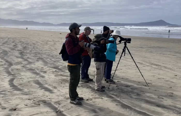 people at the beach