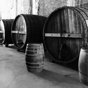 black and white barrels