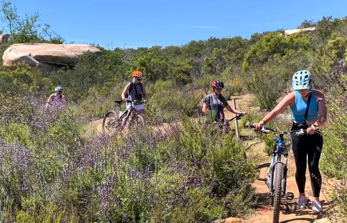 walking with bikes