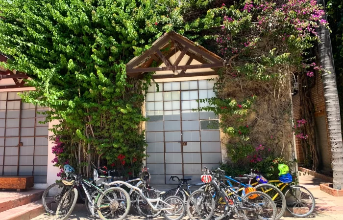 bikes and veautiful door