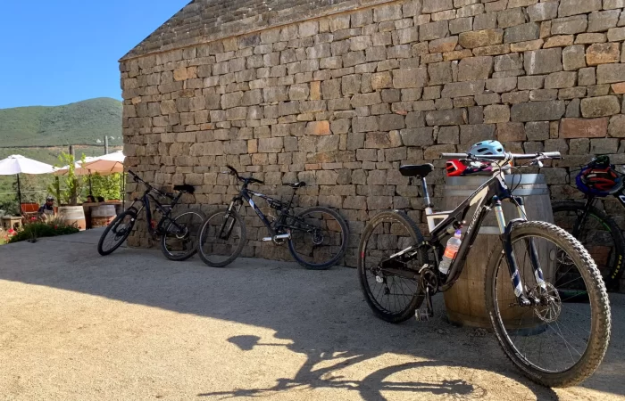 bikes at winery