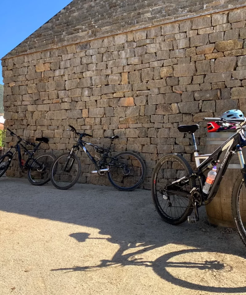 bikes at winery