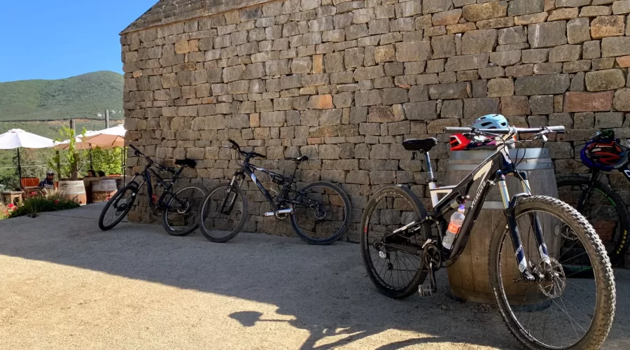 bikes at winery