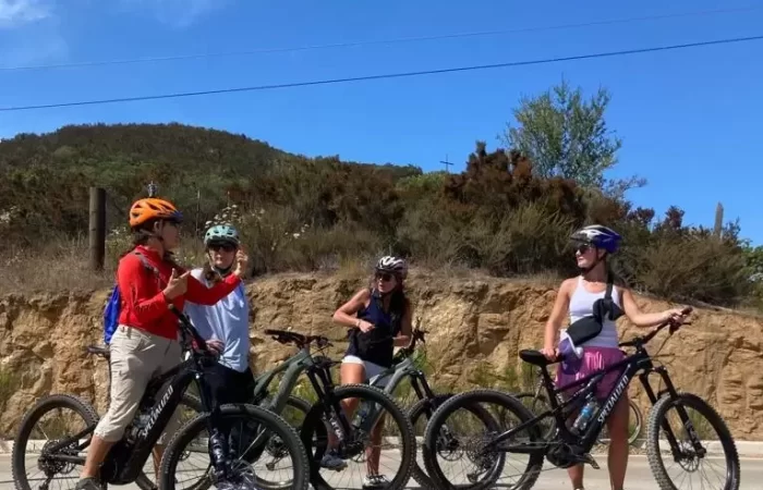 cyclsts on the road