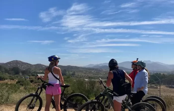 cyclists under a blue sky