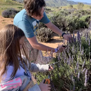 kids cutting flowers